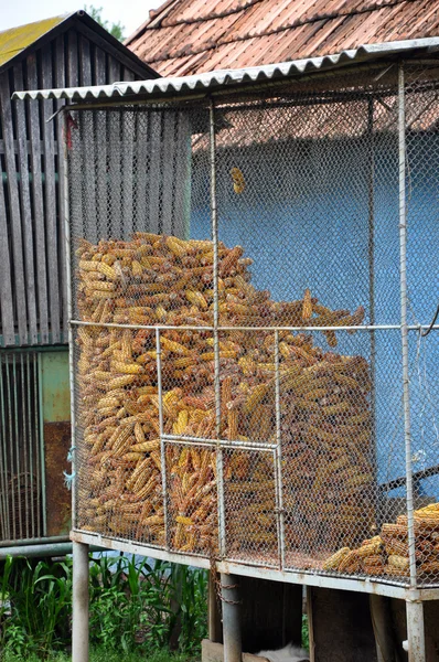 Kukorica tárolás, ideális a háttérben — Stock Fotó