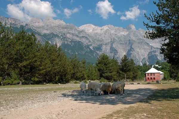 Theth, Prokletije montanhas, Albânia Imagem De Stock