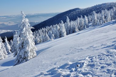 güzel kış Dağları Panoraması