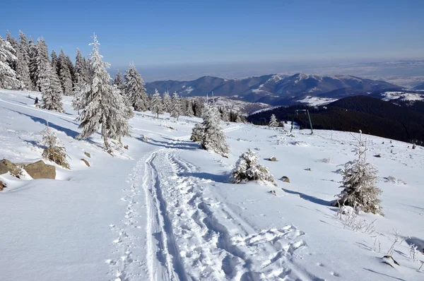 Winter in den Bergen — Stockfoto