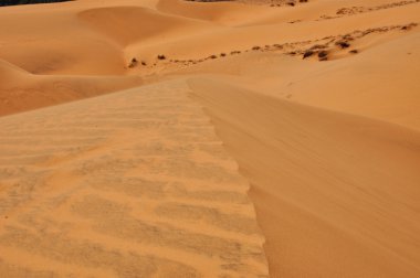Kırmızı kumulları MUI ne, vietnam