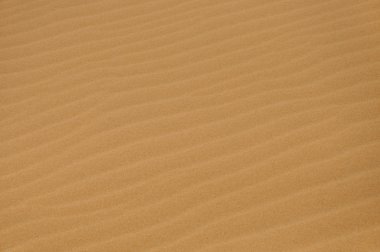 MUI ne, vietnam yakınındaki beyaz kum tepeleri