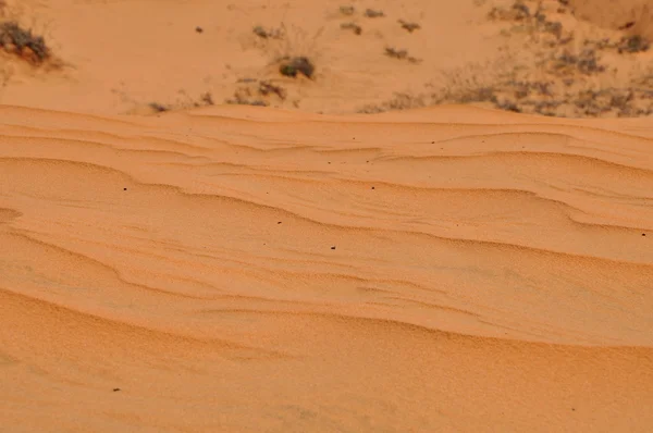 Červené písečné duny v mui ne, vietnam — Stock fotografie