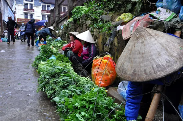 Dostawców na rynku sapa Wietnam Północny — Zdjęcie stockowe