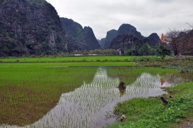 Karst oluşumları ve pirinç tarlaları ninh binh vietnam içinde