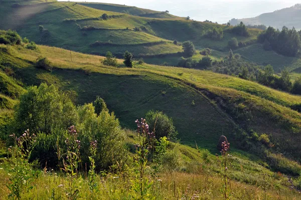 Collines vertes en fin d'après-midi — Photo