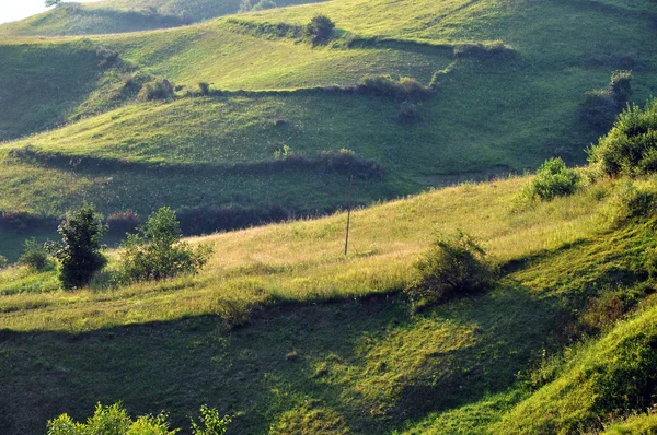 遅い午後のライトの緑の丘 — ストック写真
