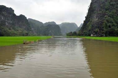 pirinç tarlaları ve kireçtaşı kayalıklarla tam coc nehir, ninh binh, vietnam boyunca