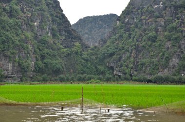 pirinç tarlaları ve kireçtaşı kayalıklarla tam coc nehir, ninh binh, vietnam boyunca