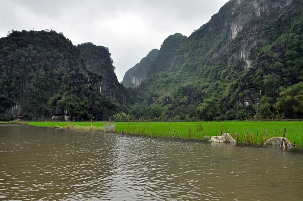 Campos de arroz y acantilados de piedra caliza a lo largo del río Tam Coc, Ninh Binh, Vietnam — Foto de Stock