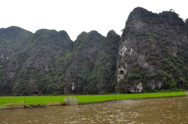 Reisfelder und Kalksteinklippen entlang des Flusses Tam Coc, Ninh Binh, Vietnam — Stockfoto