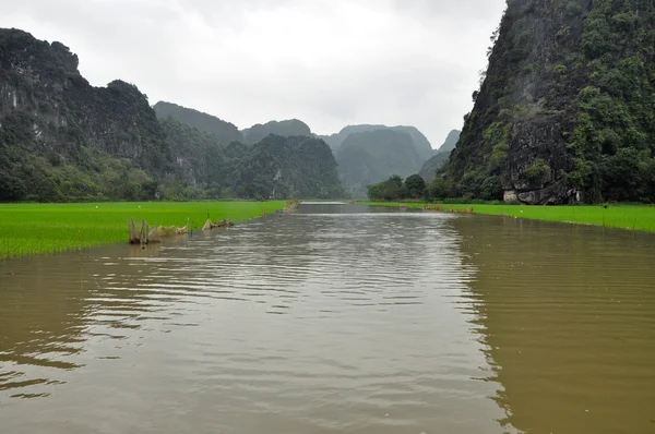 Campi di riso e scogliere calcaree lungo il fiume Tam Coc, Ninh Binh, Vietnam — Foto Stock