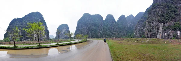Panorama s vápencovými věžemi a rýžová pole. Ninh binh, vietnam — Stock fotografie