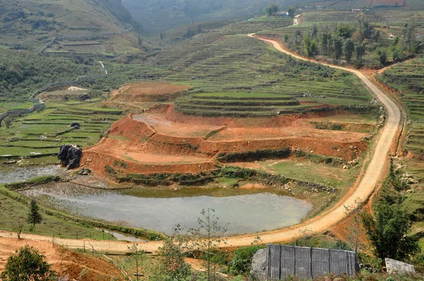 Terraced rice fields in Sapa, Vietnam — Stock Photo, Image