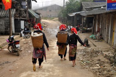 Vietnamca kırmızı dao minoruty kadın köy yolu. sa pa, vietnam