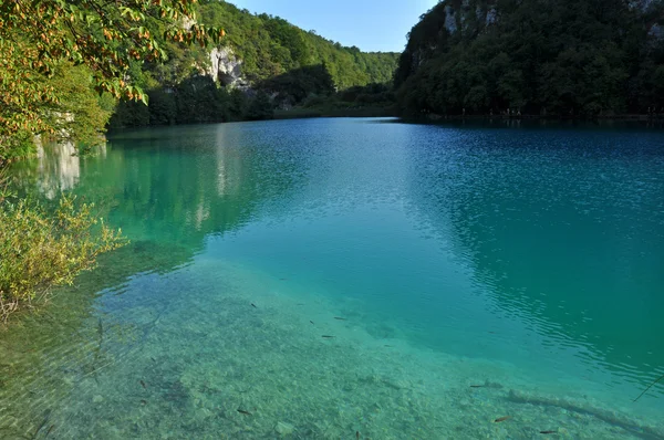 Lago en bosque profundo, Plitvice, Croacia — Foto de Stock