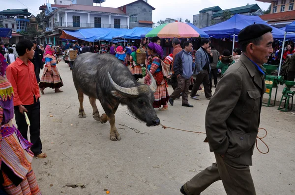 Vietnamese rural market in Bac Ha, Sapa, Vietnam — Stock Photo, Image