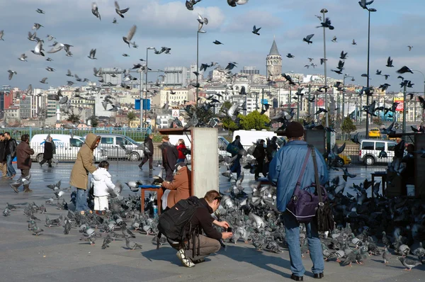 Doves on Taksim Square in Istanbul, Turkey — Stock Photo, Image