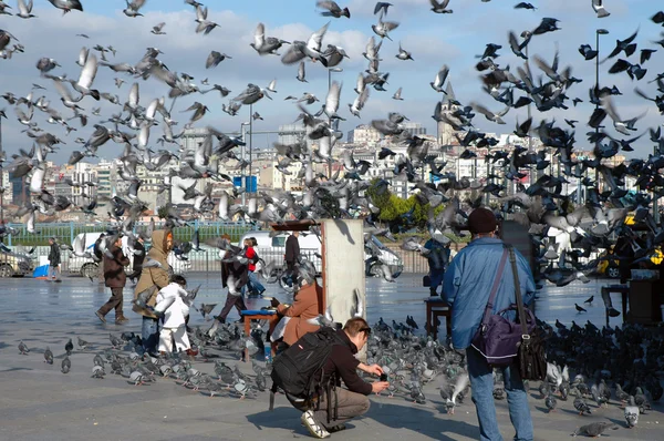 Doves on Taksim Square in Istanbul, Turkey — Stock Photo, Image