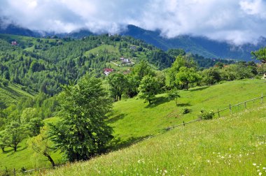 güzel, canlı Yeşil dağlar