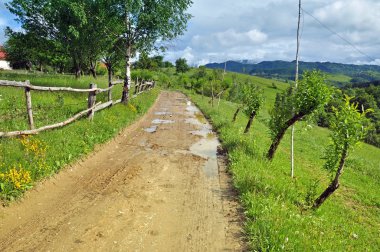 bir çit arasında bir dağ yolu