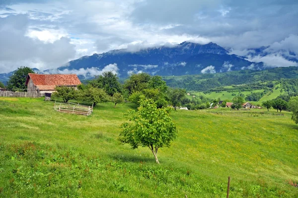 Lindas montanhas verdes e vibrantes — Fotografia de Stock