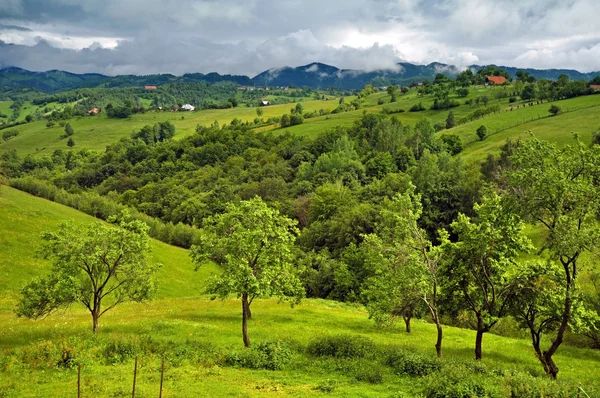 Hermosas montañas verdes y vibrantes — Foto de Stock