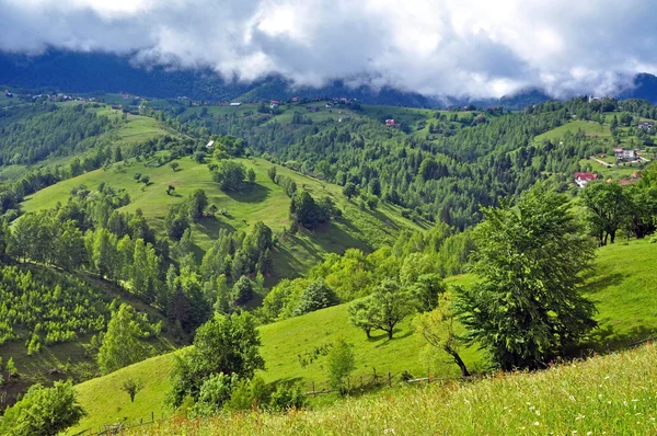 Lindas montanhas verdes e vibrantes — Fotografia de Stock