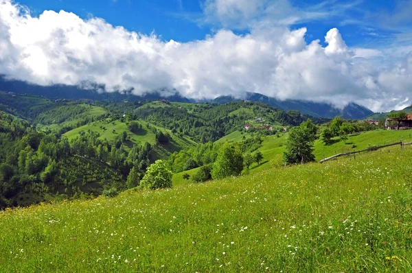 Hermosas montañas verdes y vibrantes — Foto de Stock