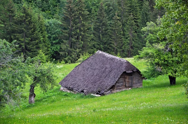 スモール ・ ロッジ、小屋、山で — ストック写真