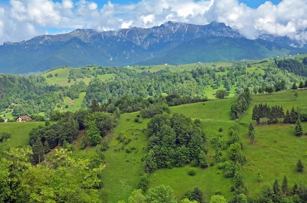 Hermosas montañas verdes y vibrantes —  Fotos de Stock