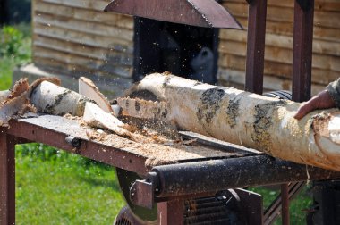 Daire testere ile Ağaç kesme tezgahlar