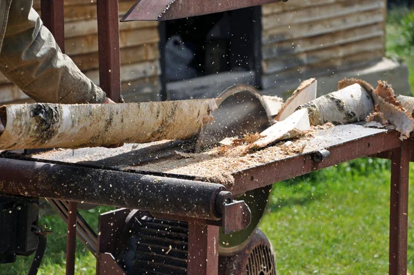 Baumsägen mit der Kreissäge — Stockfoto