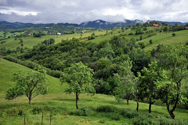 Lindas montanhas verdes e vibrantes — Fotografia de Stock