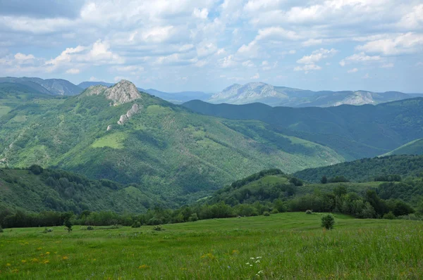 Schöne grüne, lebendige Berge — Stockfoto