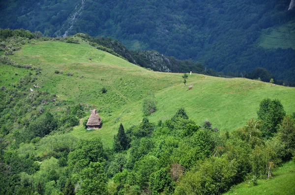 Cena de primavera nas montanhas — Fotografia de Stock