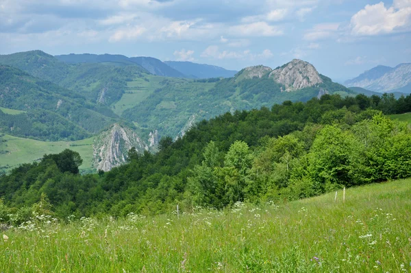 Lindas montanhas verdes e vibrantes — Fotografia de Stock
