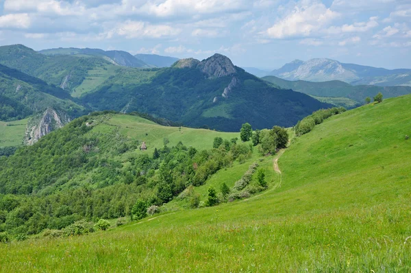 Spring scene in the mountains — Stock Photo, Image