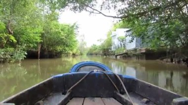 Orman mekong delta, vietnam, görünümden hareketli bir tekne