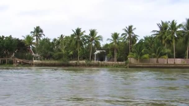 Dschungel-Mekong-Delta, Vietnam, Blick von einem fahrenden Boot — Stockvideo