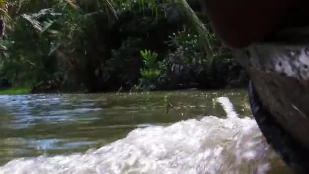 Cruzeiro entre o delta Mekong com um barco de madeira — Vídeo de Stock