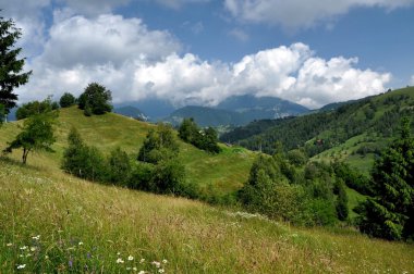 güzel, canlı Yeşil dağlar