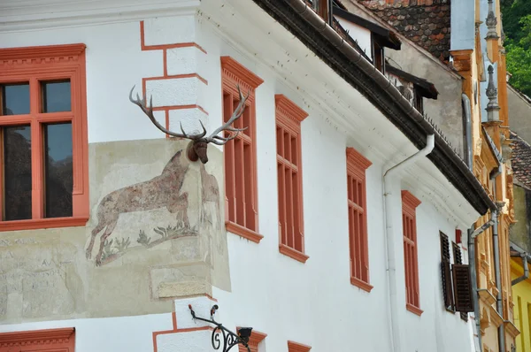 Het hert huis in sighisoara, deel unesco erfgoed, Roemenië — Stockfoto