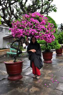 genç kadın bir çiçek açan altında duran Pembe çiçek bonsai ağacı