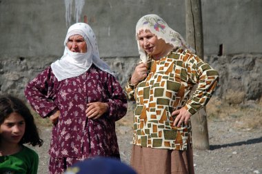 Kürtler, Diyarbakır