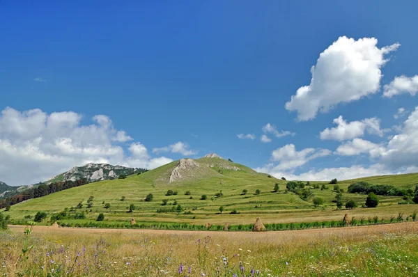 Zielone wzgórza i łąki — Zdjęcie stockowe