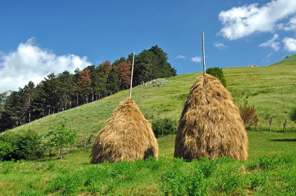 Haystacks em um prado, campo rural — Fotografia de Stock