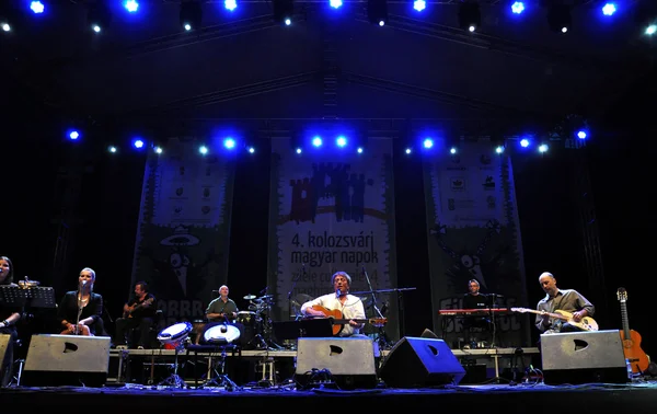 Artist Zoran and his band from Hungary performs at the Main Square of Cluj at the Hungarian Days of the city — Stock Photo, Image