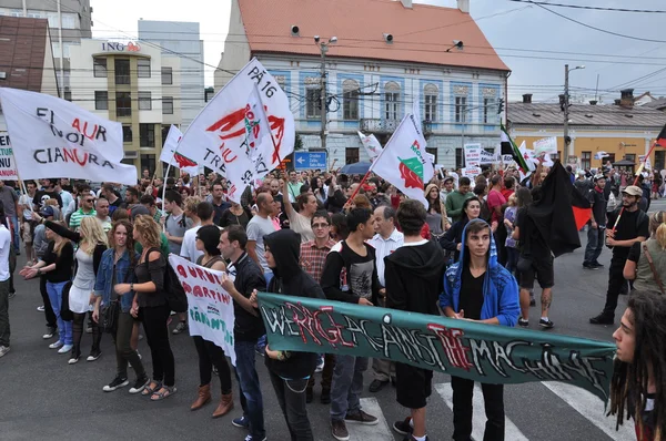 루마니아 정부가 새로운 법률에 대 한 항의의 수백 — 스톡 사진