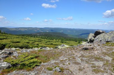 Transilvanya Alp peyzaj